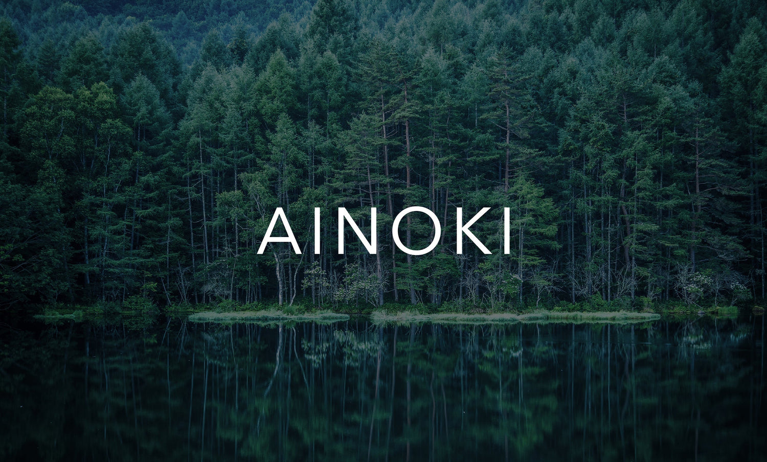 AINOKI mebuki